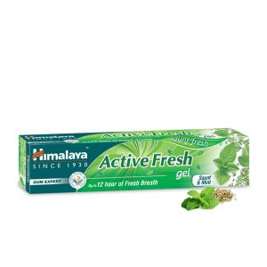 印度喜马拉雅Active Fresh Gel牙膏